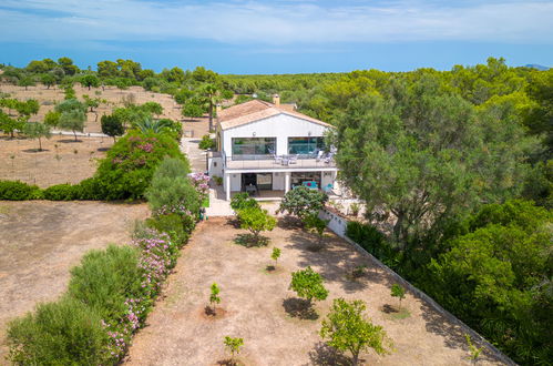 Foto 37 - Haus mit 2 Schlafzimmern in Santa Margalida mit garten und blick aufs meer