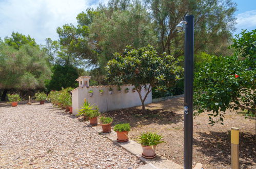 Foto 34 - Casa con 2 camere da letto a Santa Margalida con giardino e vista mare