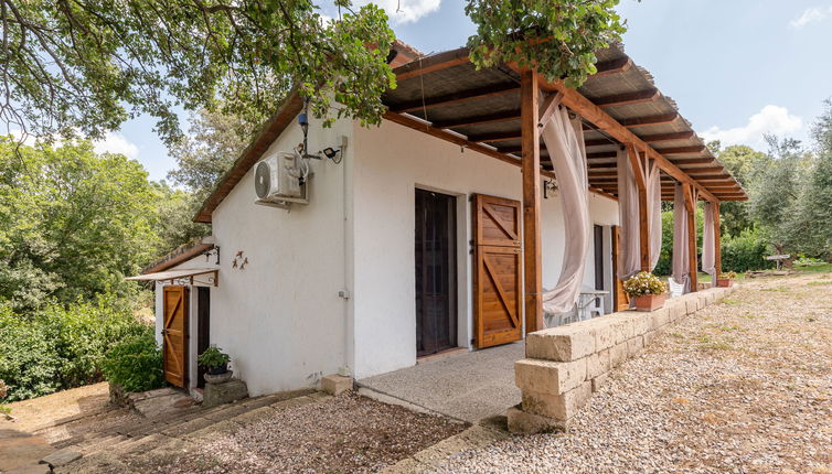 Photo 1 - Maison de 2 chambres à Scansano avec jardin et vues à la mer