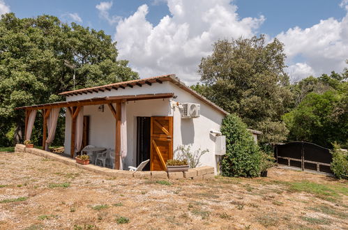 Photo 22 - Maison de 2 chambres à Scansano avec jardin et vues à la mer