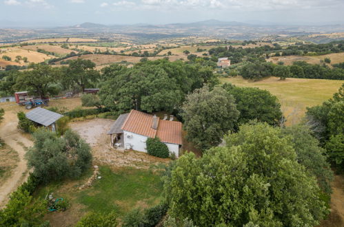 Foto 35 - Casa de 2 quartos em Scansano com jardim e terraço