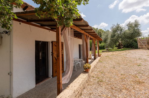 Photo 30 - Maison de 2 chambres à Scansano avec jardin et terrasse