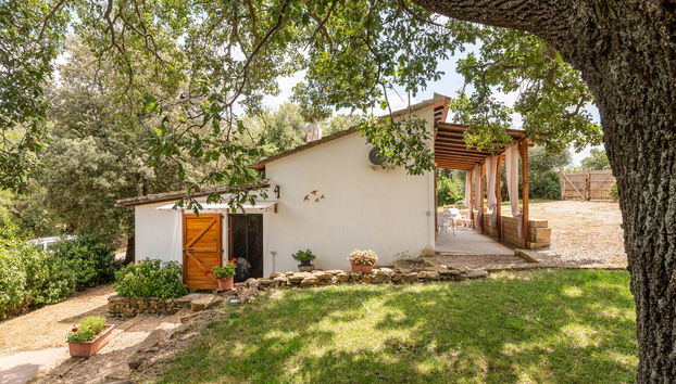 Casa con 2 camere da letto a Scansano con giardino e terrazza - Foto 4