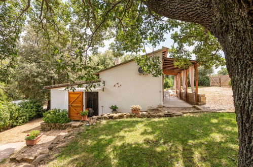 Photo 4 - Maison de 2 chambres à Scansano avec jardin et vues à la mer