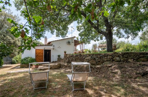 Foto 23 - Casa de 2 habitaciones en Scansano con jardín y vistas al mar