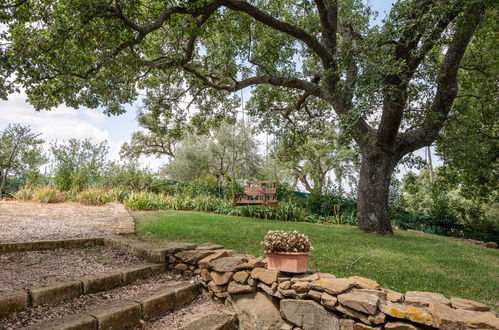 Photo 33 - Maison de 2 chambres à Scansano avec jardin et terrasse