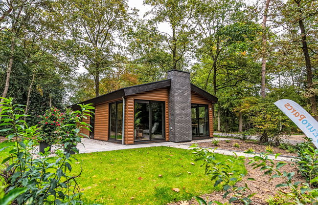 Casa de 4 quartos em Dwingeloo com piscina e terraço - Foto 12