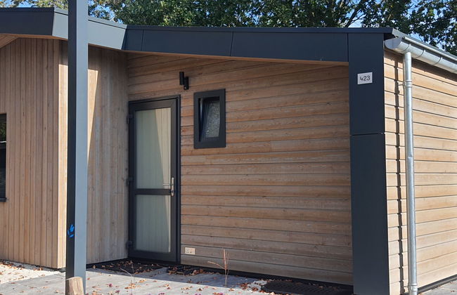 Maison de 4 chambres à Kaatsheuvel avec piscine et terrasse - Photo 19