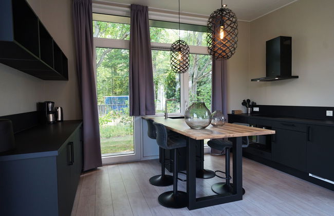 Casa de 3 quartos em IJhorst com piscina e terraço - Foto 6