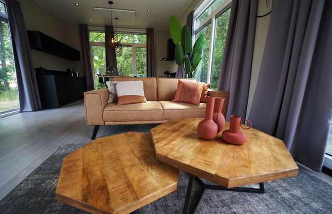Casa de 3 quartos em IJhorst com piscina e terraço - Foto 7