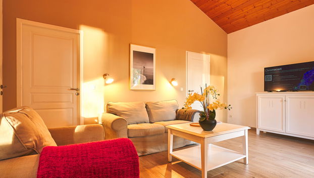 Haus mit 4 Schlafzimmern in Parentis-en-Born mit schwimmbad und garten - Foto 3