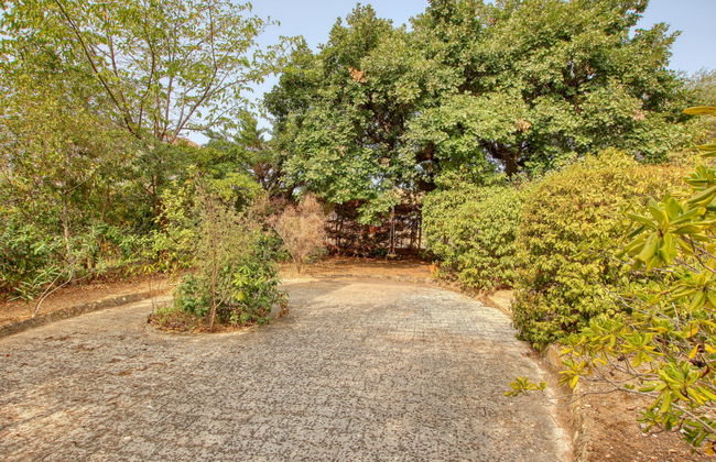 L'Arbousier - Foto 7