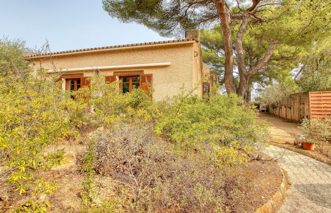 L'Arbousier - Foto 2