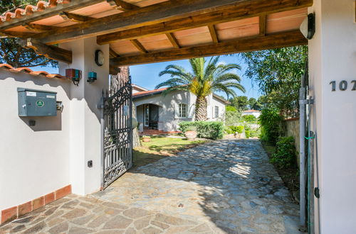 Foto 45 - Appartamento con 2 camere da letto a Casale Marittimo con giardino e terrazza