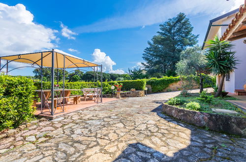 Foto 66 - Appartamento con 2 camere da letto a Casale Marittimo con giardino e terrazza