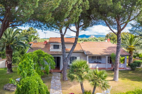 Foto 50 - Appartamento con 2 camere da letto a Casale Marittimo con giardino e terrazza