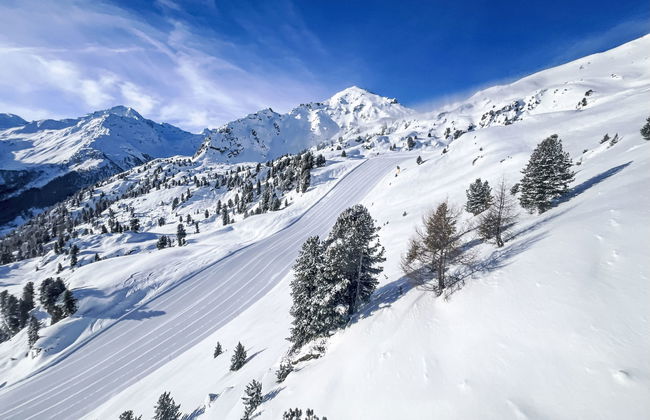 Apartamento de 1 quarto em Nendaz com terraço - Foto 23