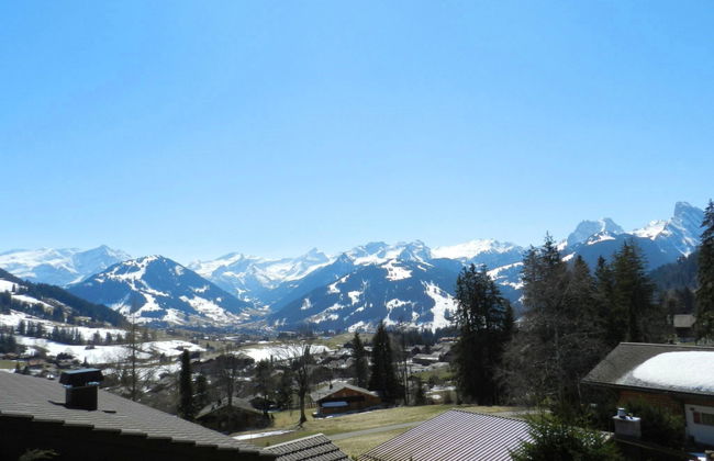 Apartamento de 3 quartos em Saanen - Foto 8