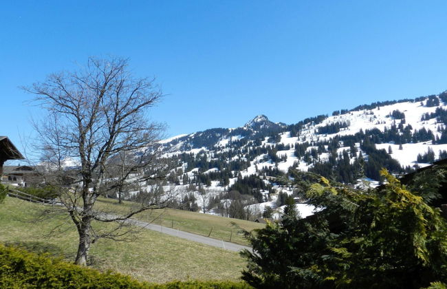 Apartamento de 3 quartos em Saanen - Foto 9
