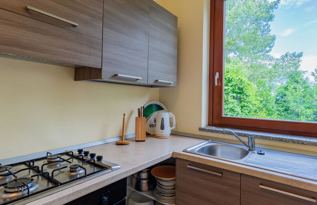 Haus mit 2 Schlafzimmern in Dorio mit garten und terrasse - Foto 10