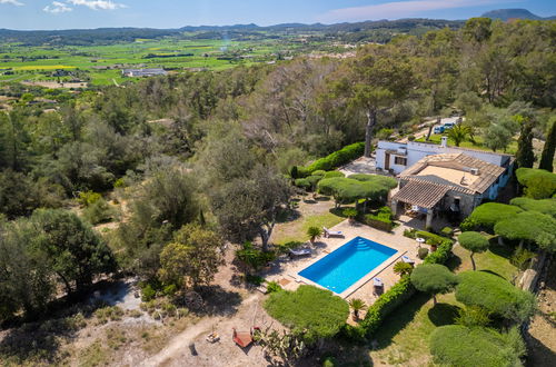 Photo 28 - Maison de 2 chambres à Sant Joan avec piscine privée et jardin