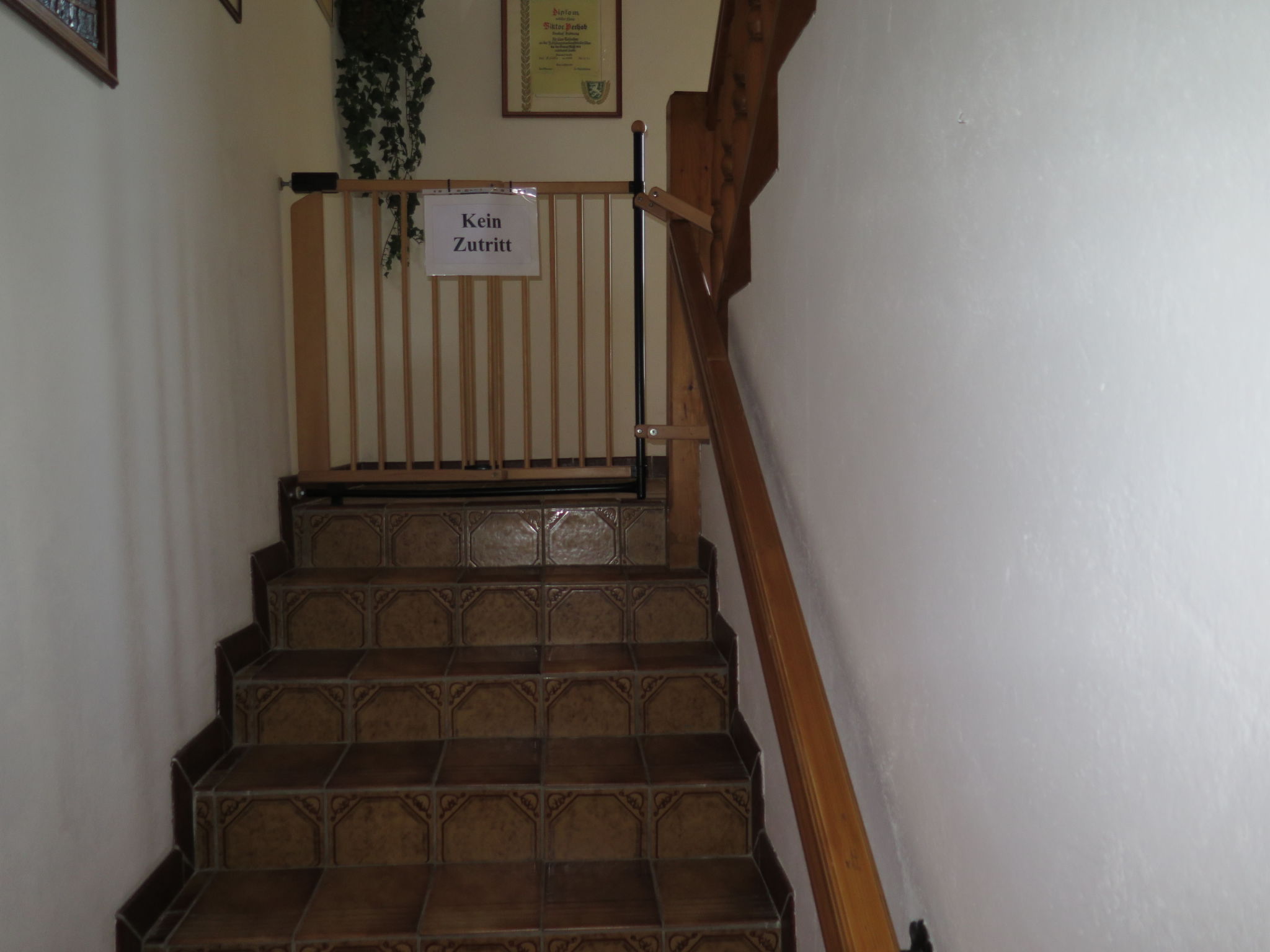 Photo 20 - Maison de 4 chambres à Mitterberg-Sankt Martin avec jardin et terrasse