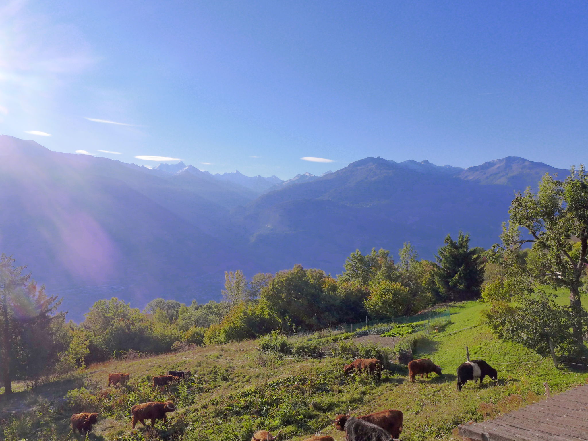 Photo 30 - 3 bedroom House in Crans-Montana with garden and terrace