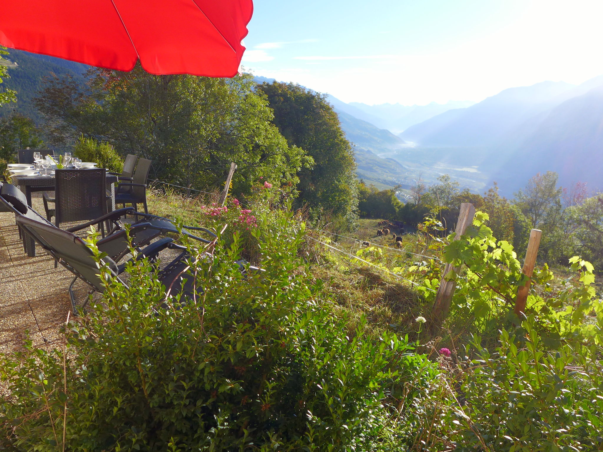 Photo 34 - Maison de 3 chambres à Crans-Montana avec jardin et vues sur la montagne