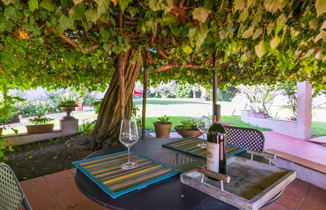 Casa de 2 quartos em Colle di Val d'Elsa com piscina e jardim - Foto 25