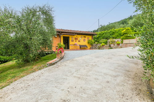 Foto 41 - Casa con 1 camera da letto a Pescia con piscina privata e giardino