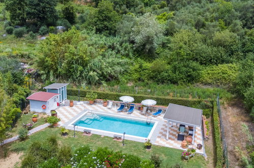 Photo 11 - 1 bedroom House in Pescia with private pool and garden