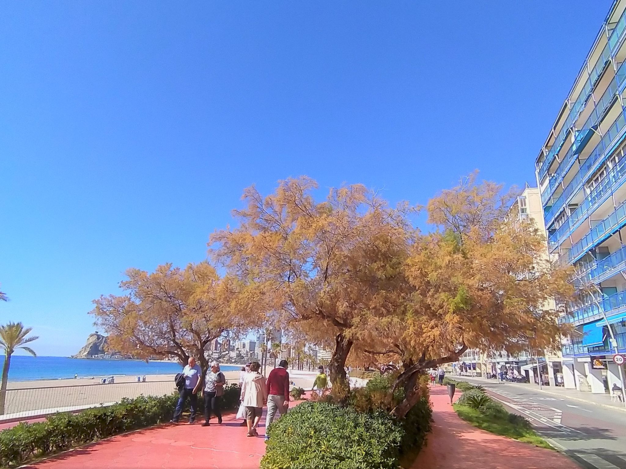 Photo 18 - Appartement de 4 chambres à Benidorm avec terrasse et vues à la mer