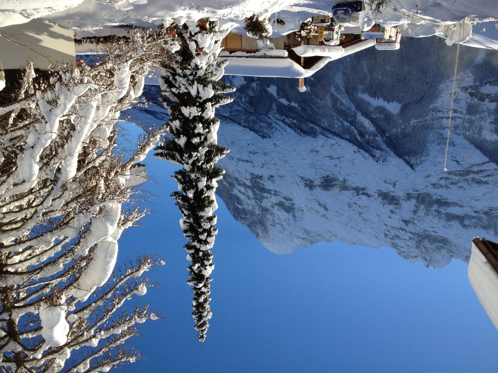 Photo 15 - 2 bedroom Apartment in Grindelwald with garden and mountain view