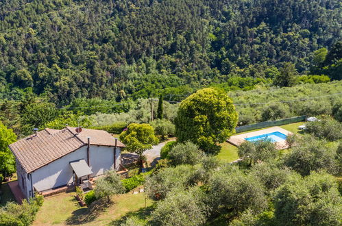 Foto 53 - Casa con 2 camere da letto a Capannori con piscina privata e giardino