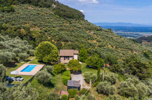 Foto 4 - Casa con 2 camere da letto a Capannori con piscina privata e giardino