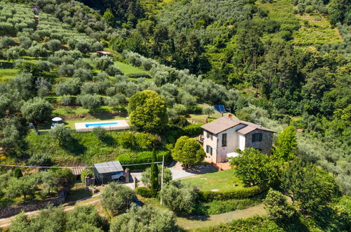 Foto 7 - Casa con 2 camere da letto a Capannori con piscina privata e giardino