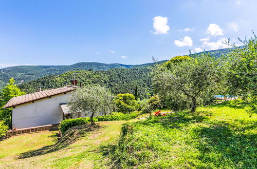 Foto 54 - Casa con 2 camere da letto a Capannori con piscina privata e giardino