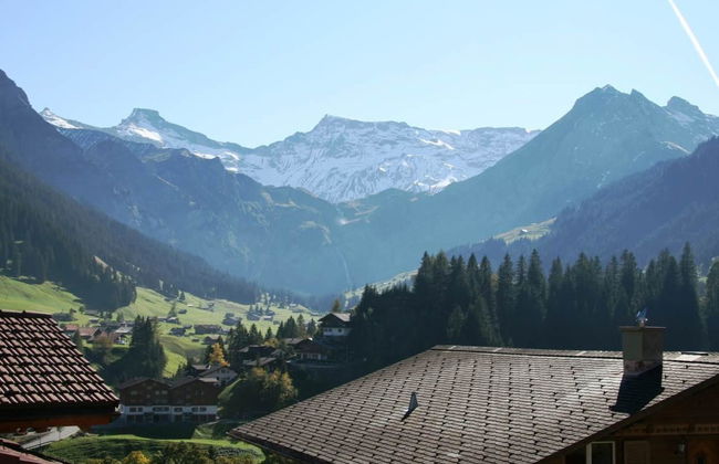 Apartamento de 2 quartos em Adelboden - Foto 16