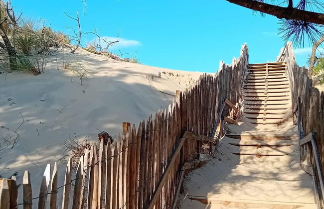 Haus mit 4 Schlafzimmern in Mimizan mit terrasse - Foto 33