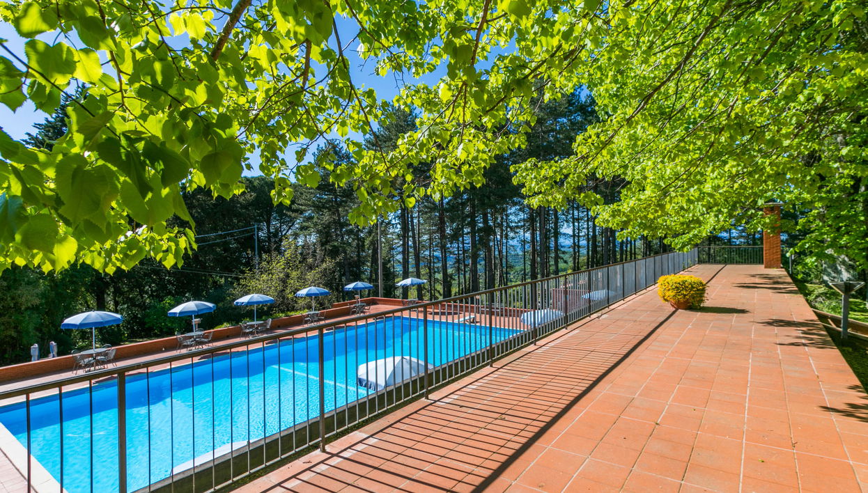 Apartment mit 2 Schlafzimmern in Montaione mit schwimmbad und garten - Foto 1