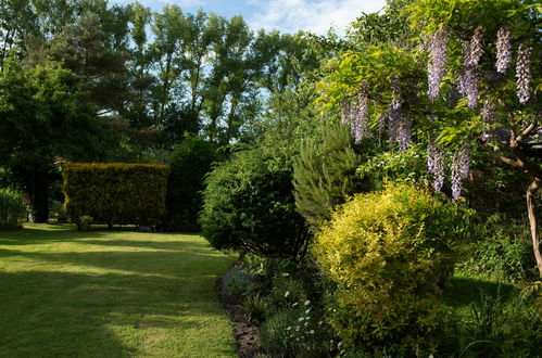 Photo 20 - Appartement en Kamień Pomorski avec jardin