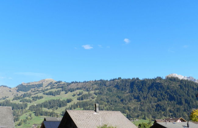 Apartamento de 1 quarto em Zweisimmen - Foto 10