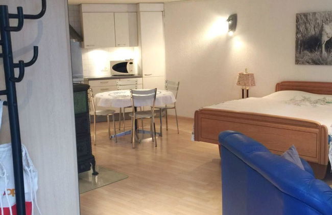 Apartamento de 1 quarto em Zweisimmen - Foto 18