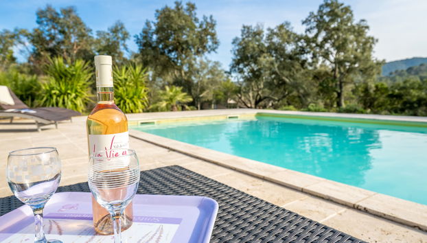 Haus mit 5 Schlafzimmern in La Môle mit privater pool und garten - Foto 3