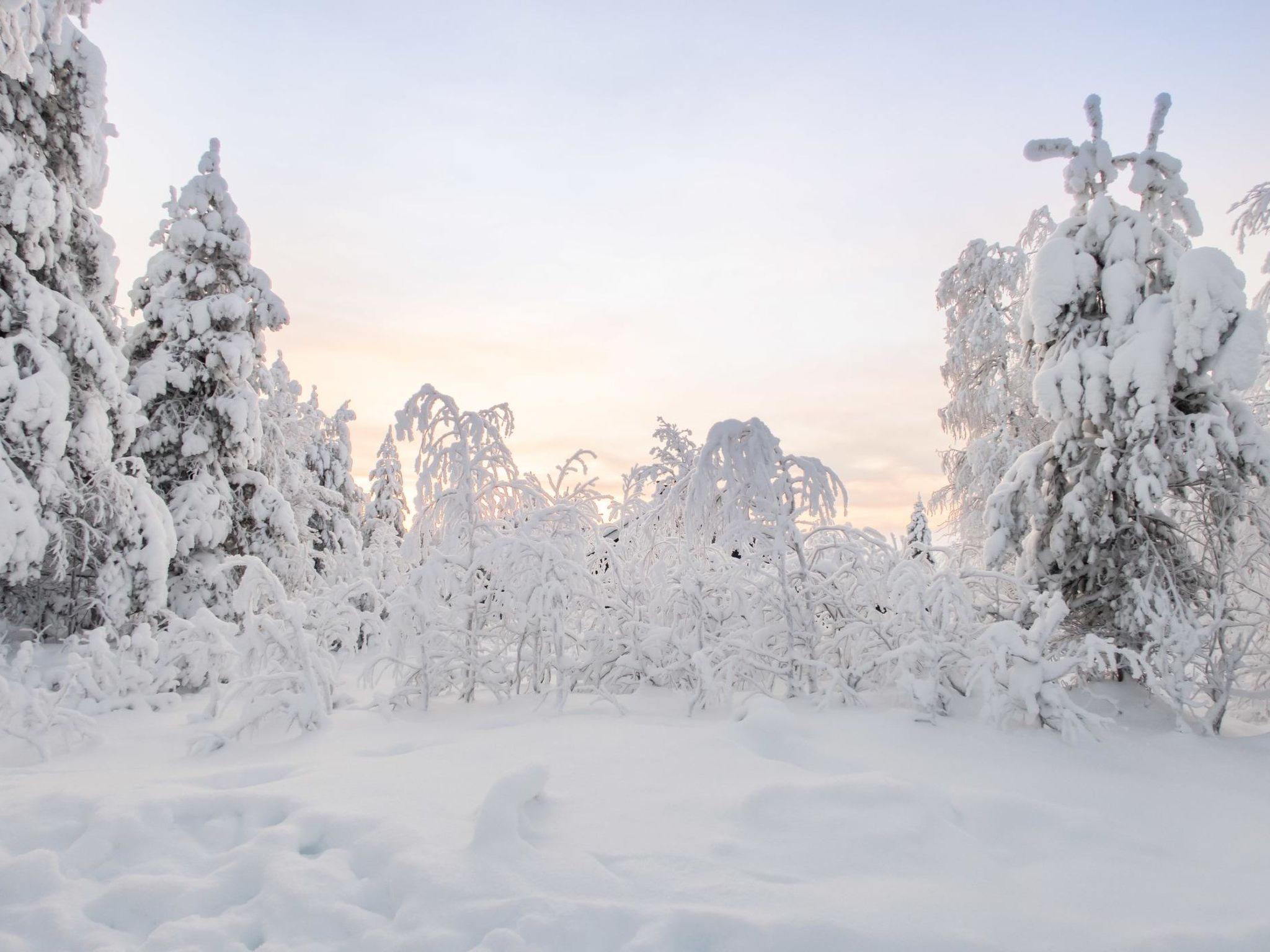 Photo 13 - 2 bedroom House in Kuusamo with sauna and mountain view