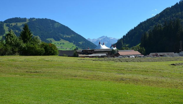 Apartamento de 2 quartos em Saanen - Foto 5