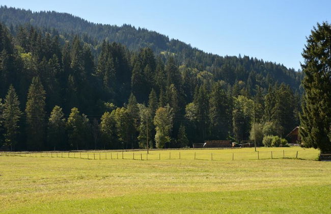 Apartamento de 2 quartos em Saanen - Foto 6