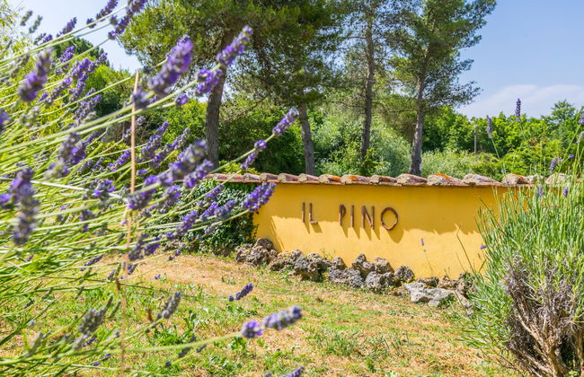 4 bedroom Apartment in Castelnuovo di Val di Cecina with swimming pool and garden - Photo 46
