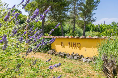 Foto 46 - Apartment mit 3 Schlafzimmern in Castelnuovo di Val di Cecina mit schwimmbad und garten
