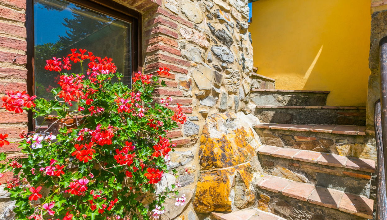 Apartment mit 4 Schlafzimmern in Castelnuovo di Val di Cecina mit schwimmbad und garten - Foto 1